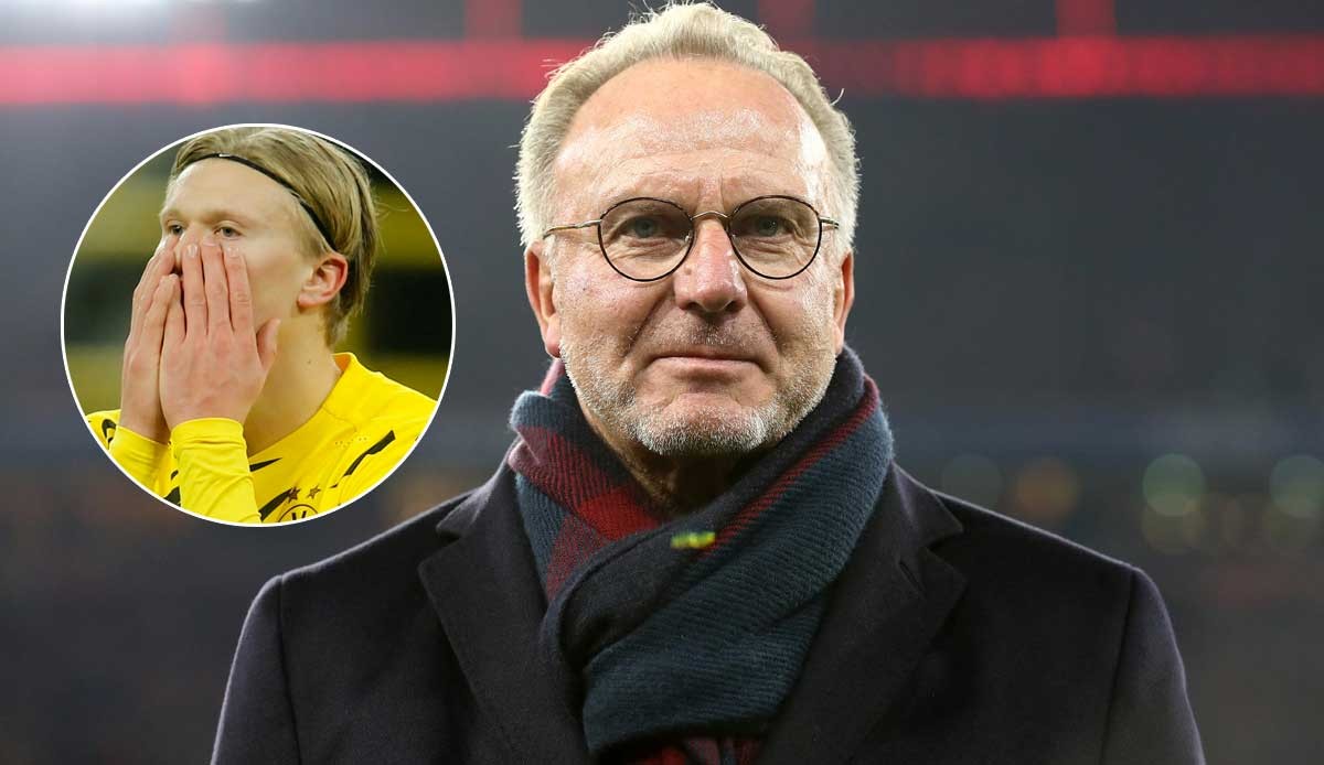 争冠的球队 争冠的球队