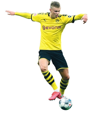 末节的定点 末节的定点